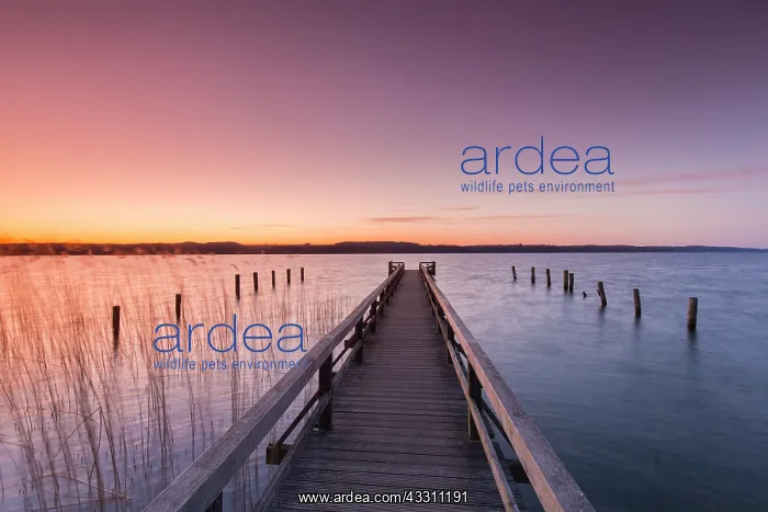  : Jetty at lake Ratzeburg at sunset - Germany