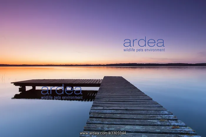  : Jetty at lake Ratzeburg at sunset - Schleswig-Holstein