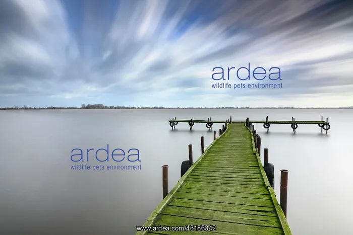 : Jetty in Olgahafen on Lake Dammer, jetty, weather : Jetty in Olgahafen on Lake Dammer, jetty, weather
