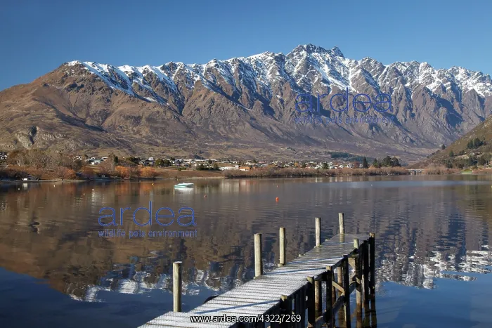 : Jetty, and The Remarkables, Reflected in : Jetty, and The Remarkables, Reflected in