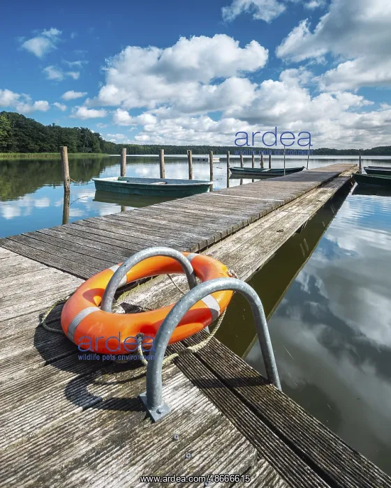  : Jetty with rowing boats at Moderfitzsee under a blue sky