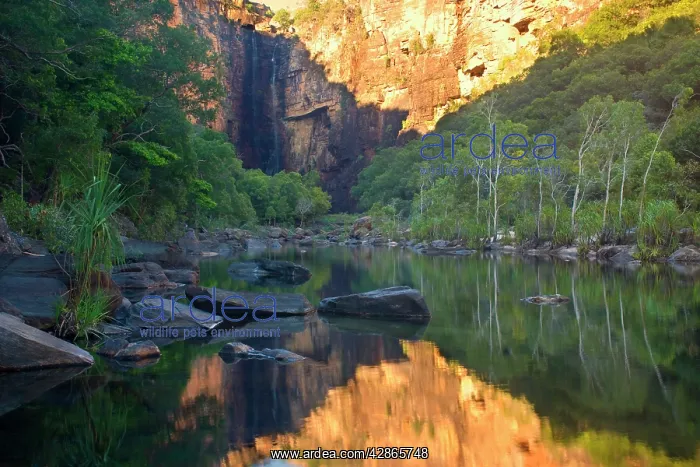 : Jim Jim Falls - water of famous Jim Jim Falls plunges : Jim Jim Falls - water of famous Jim Jim Falls plunges