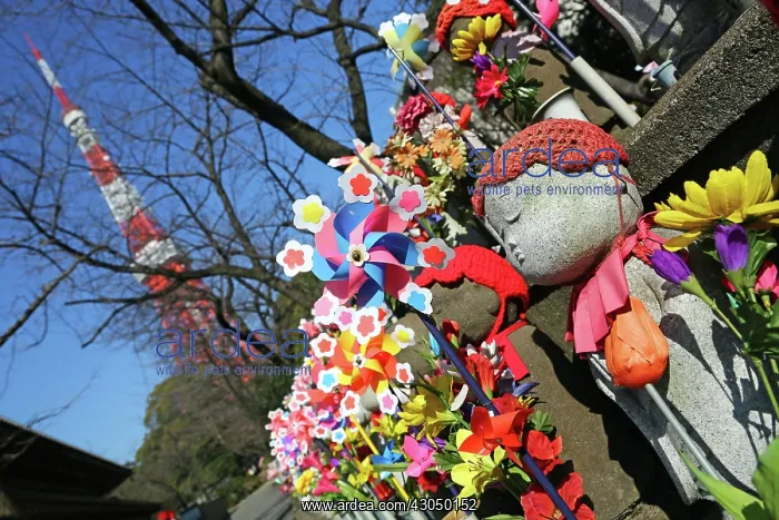 : Jizo statues and pinwheel windmill toys in the Zojoji Te : Jizo statues and pinwheel windmill toys in the Zojoji Te