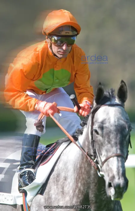 : Jockey - riding grey horse at Longchamp racecourse : Jockey - riding grey horse at Longchamp racecourse