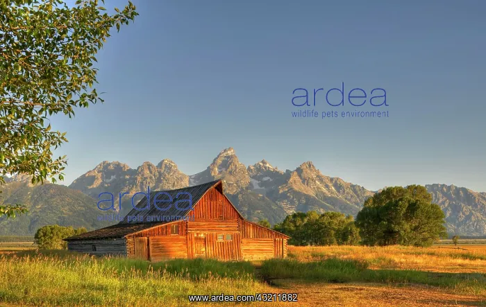 : John and Bartha Moulton Homestead, Mormon Barn in : John and Bartha Moulton Homestead, Mormon Barn in