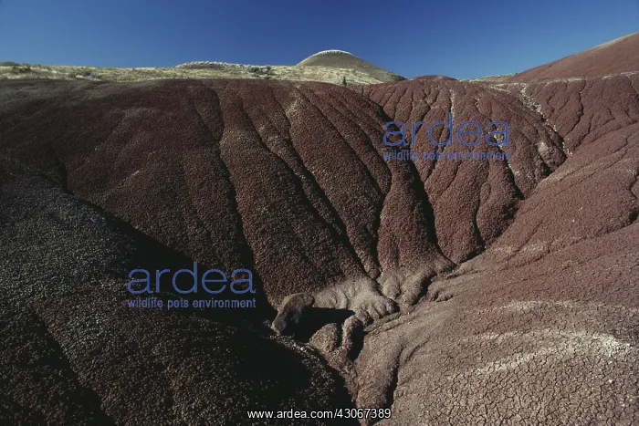 : John Day Fossil Beds : John Day Fossil Beds