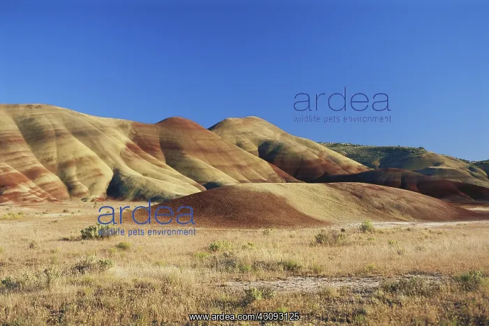: John Day Fossil Beds : John Day Fossil Beds
