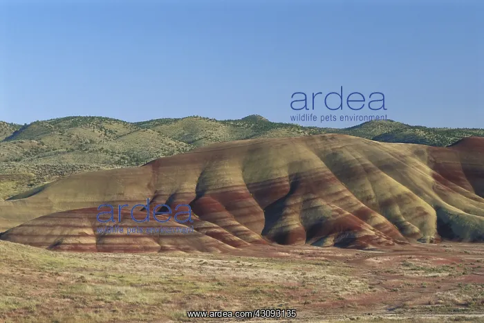 : John Day Fossil Beds : John Day Fossil Beds
