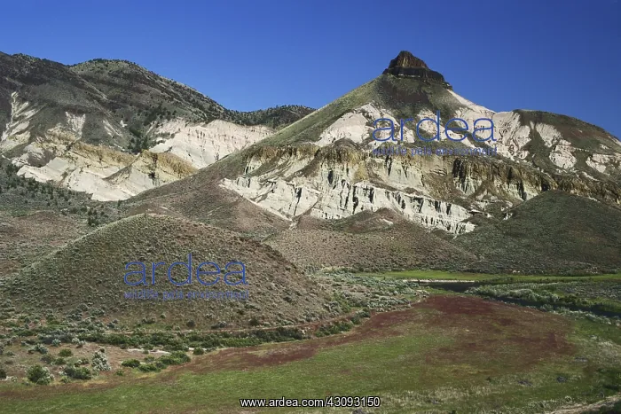 : John Day Fossil Beds : John Day Fossil Beds