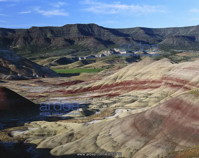 : John Day Fossil Beds : John Day Fossil Beds