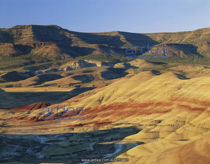 : John Day Fossil Beds : John Day Fossil Beds