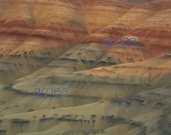 : John Day Fossil Beds : John Day Fossil Beds