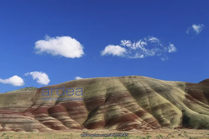 : John Day Fossil Beds : John Day Fossil Beds