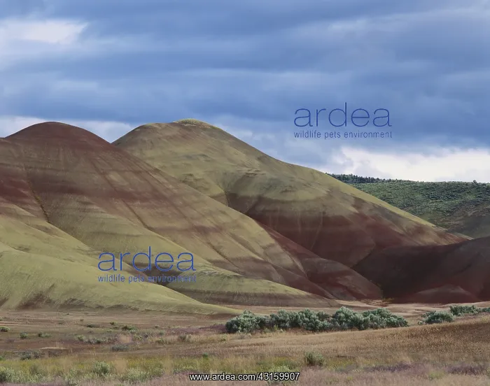 : John Day Fossil Beds : John Day Fossil Beds
