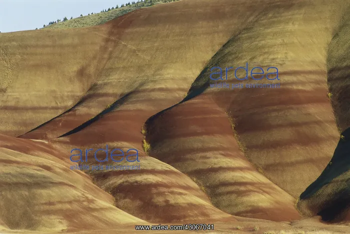 : John Day Fossil Beds, Oregon : John Day Fossil Beds, Oregon