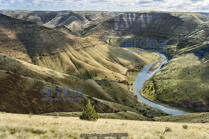 : John Day River Canyon downstream of 30 Mile Creek : John Day River Canyon downstream of 30 Mile Creek
