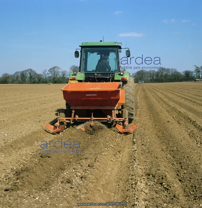 : John Deere Tractor and Potato Planter : John Deere Tractor and Potato Planter