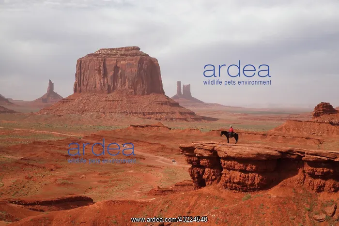 : John Ford point - Monument Valley Arizona USA : John Ford point - Monument Valley Arizona USA