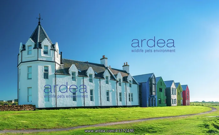 : John o Groats, Canisbay, Caithness, North Scotland, UK : John o Groats, Canisbay, Caithness, North Scotland, UK