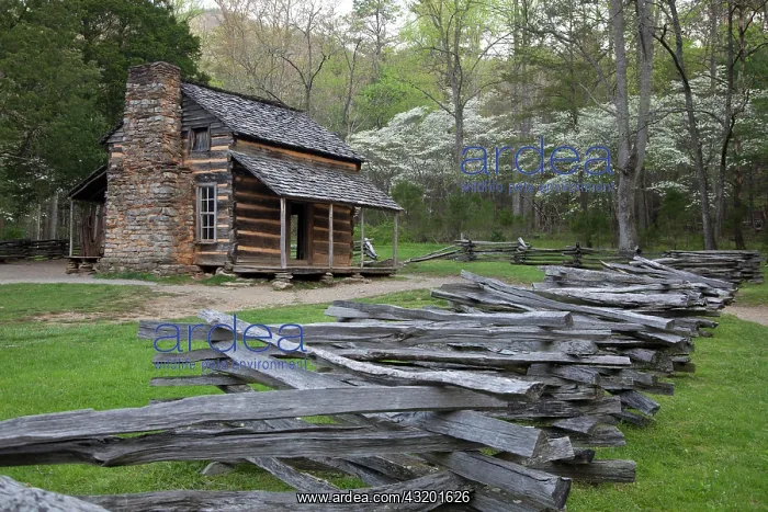 : John Oliver Place in Cades Cove, Great Smoky Mountains : John Oliver Place in Cades Cove, Great Smoky Mountains