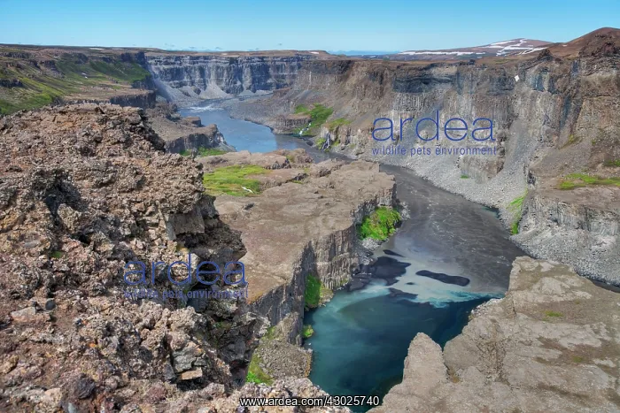 : Jokulsa a Fjollum River Canyon : Jokulsa a Fjollum River Canyon