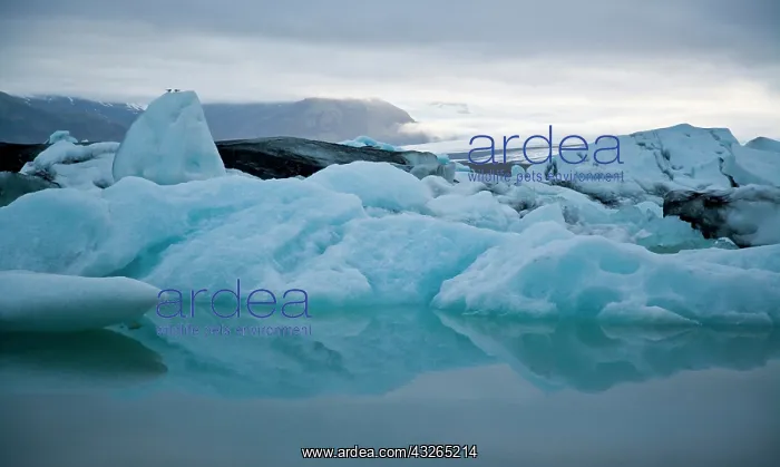 : Jokulsarlon glacial lake in southern Iceland : Jokulsarlon glacial lake in southern Iceland