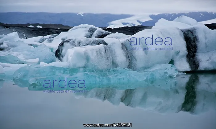 : Jokulsarlon glacial lake in southern Iceland : Jokulsarlon glacial lake in southern Iceland