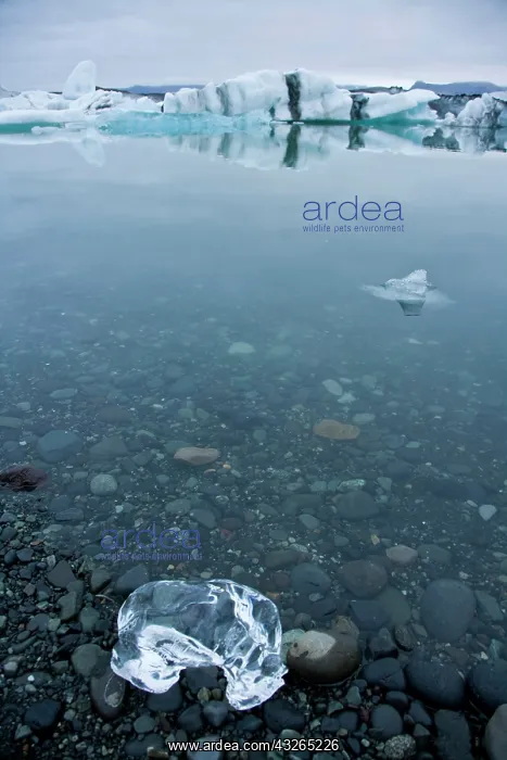 : Jokulsarlon glacial lake in southern Iceland : Jokulsarlon glacial lake in southern Iceland