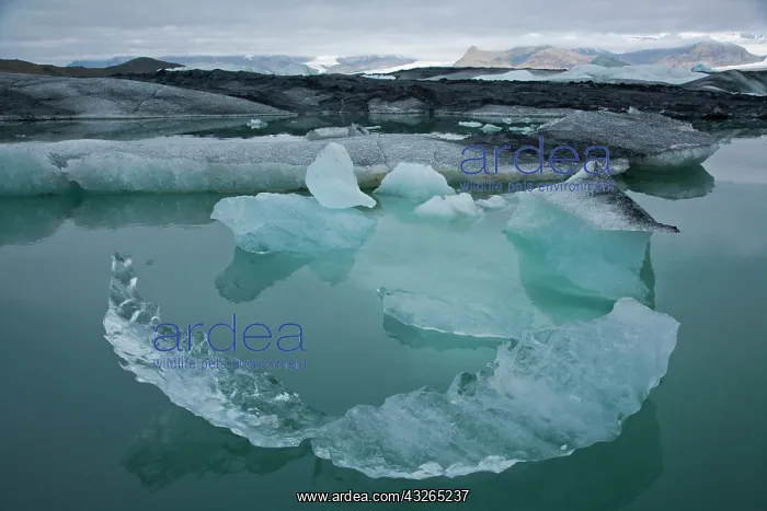 : Jokulsarlon glacial lake in southern Iceland : Jokulsarlon glacial lake in southern Iceland