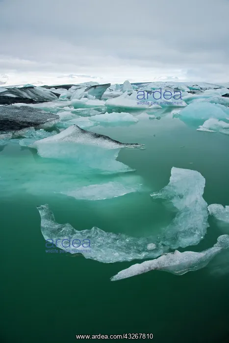 : Jokulsarlon glacial lake in southern Iceland : Jokulsarlon glacial lake in southern Iceland