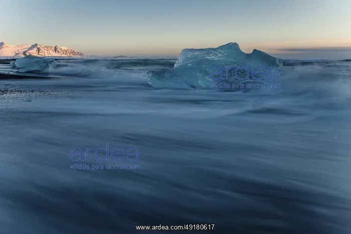 : Jokulsarlon, icebergs, ice : Jokulsarlon, icebergs, ice