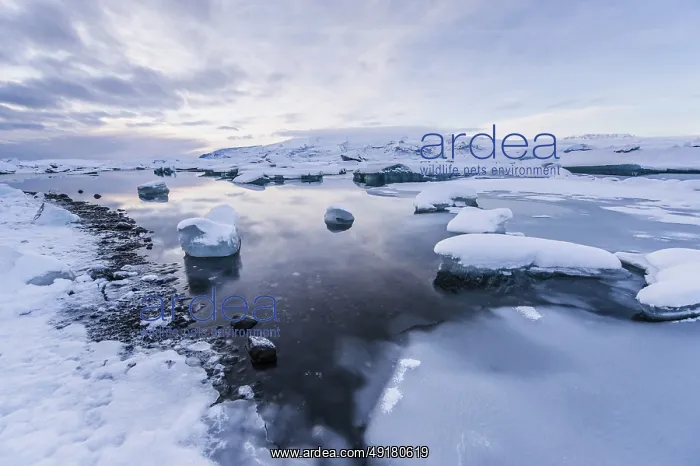 : Jokulsarlon, icebergs, ice : Jokulsarlon, icebergs, ice