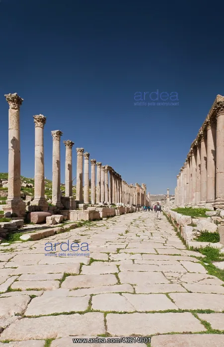 : Jordan, Jerash, overview of Roman-era city : Jordan, Jerash, overview of Roman-era city