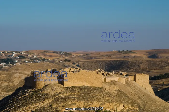  : Jordan, Shawbak castle, ancient crusader