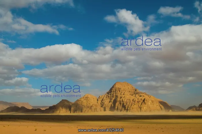 : Jordan, Wadi Rum desert : Jordan, Wadi Rum desert