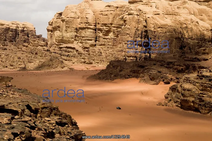 : Jordan, Wadi Rum desert : Jordan, Wadi Rum desert