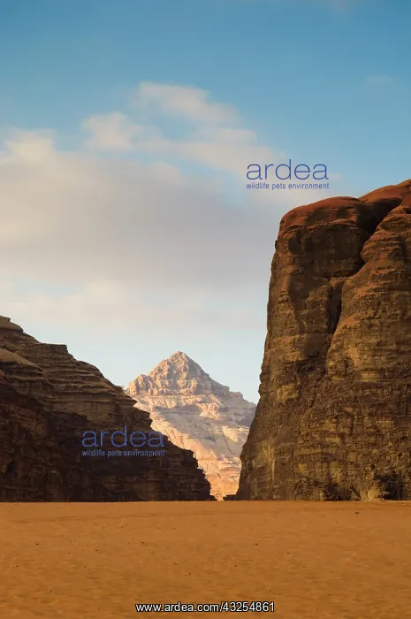  : Jordan, Wadi Rum desert