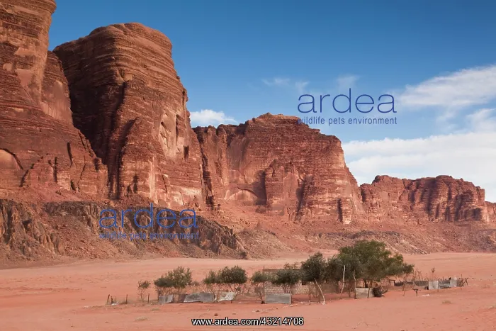 : Jordan, Wadi Rum, desert landscape : Jordan, Wadi Rum, desert landscape