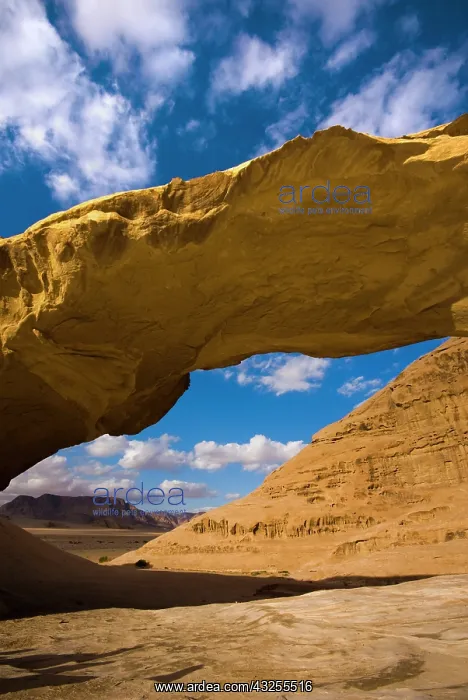 : Jordan, Wadi Rum, rocky arch in the desert : Jordan, Wadi Rum, rocky arch in the desert