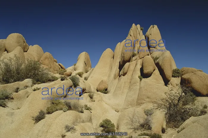 : Joshua Tree Rock Formations : Joshua Tree Rock Formations