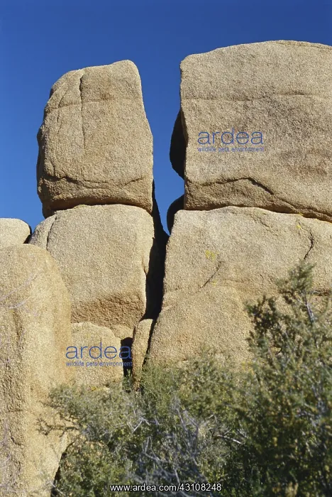 : Joshua Tree Rock Formations : Joshua Tree Rock Formations