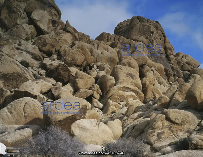 : Joshua Tree Rock Formations : Joshua Tree Rock Formations