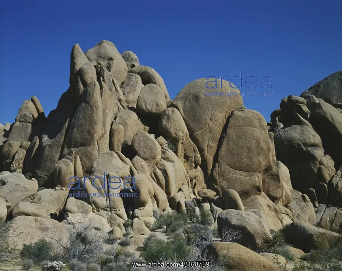 : Joshua Tree Rock Formations : Joshua Tree Rock Formations