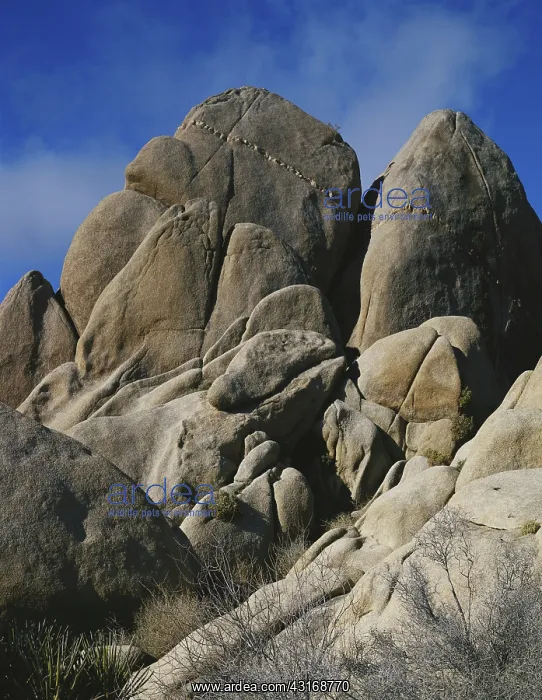 : Joshua Tree Rock Formations : Joshua Tree Rock Formations