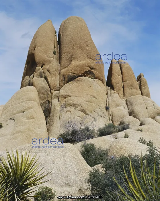 : Joshua Tree Rock Formations : Joshua Tree Rock Formations