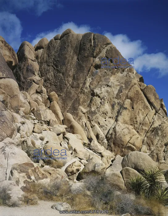 : Joshua Tree Rock Formations : Joshua Tree Rock Formations