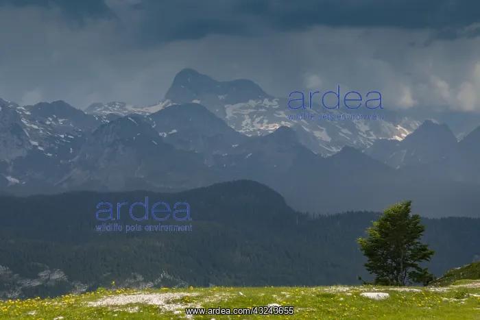 : The Julian Alps looking towards Mount Triglav from : The Julian Alps looking towards Mount Triglav from