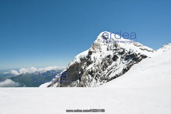 : Jungfrau Region, Switzerland. EIger from : Jungfrau Region, Switzerland. EIger from