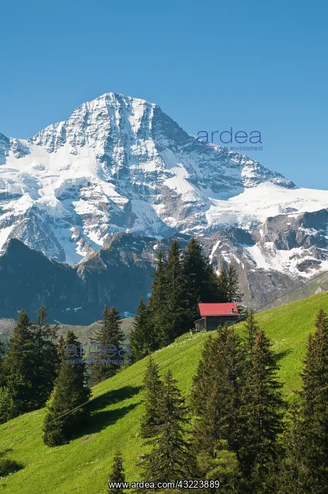 : Jungfrau Region, Switzerland. Jungfrau massif : Jungfrau Region, Switzerland. Jungfrau massif