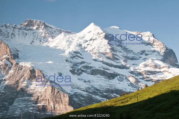 : Jungfrau Region, Switzerland. Jungfrau massif : Jungfrau Region, Switzerland. Jungfrau massif